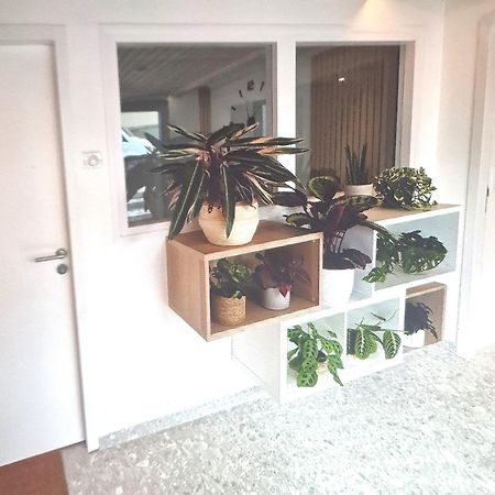 Moderne F3 - 10 Min Aeroport Cdg - Paris - Parc Asterix - Disneyland Paris - Tour Eiffel - Champs Elysee - 15 Min Parc Des Expositions Villepinte - 10 Min Le Bourget - 5 Min Du Golf International De Roissy- Jo 2024 Le Thillay Eksteriør billede